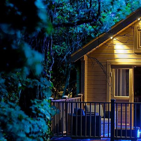 본머스 Alum Chine Log Cabin 빌라 외부 사진