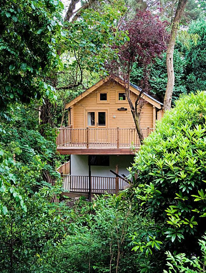 본머스 Alum Chine Log Cabin 빌라 외부 사진